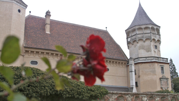 Rosenburg04_ Clever-Contents_Oliver-Indra