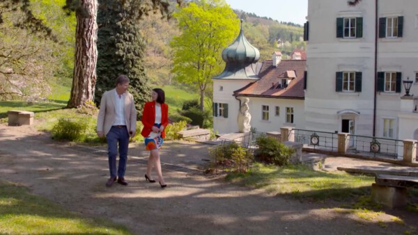 VHH 3 Artstetten jpg1